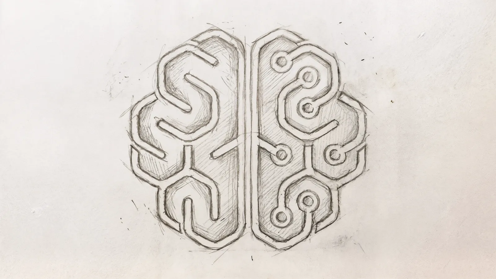 Croquis logo Cambium