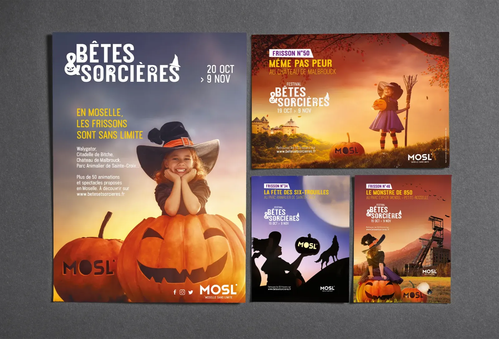 Affiches du Festival Bêtes & Sorcières selon les sites géographiques