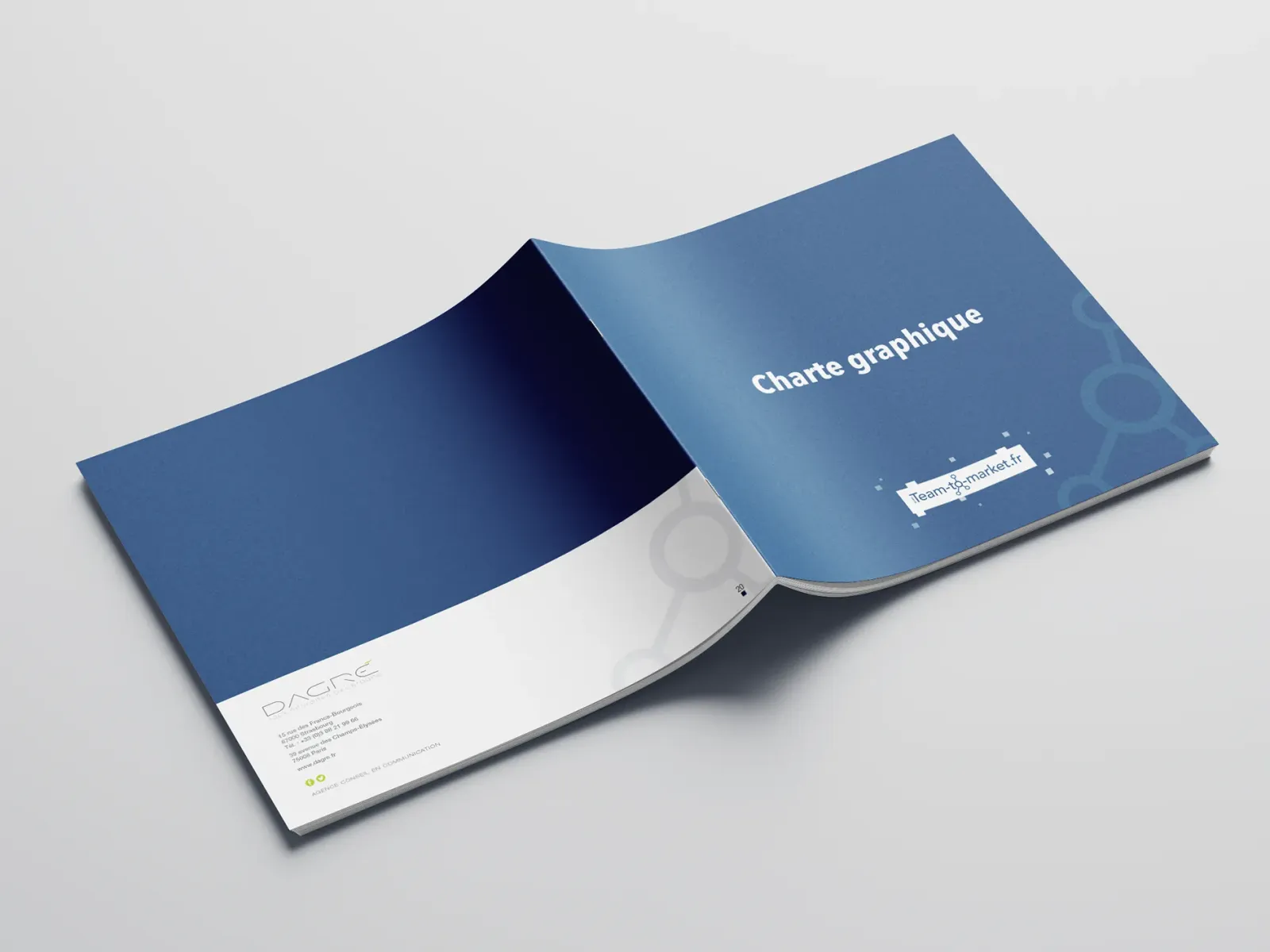 Charte graphique Team-To-Market