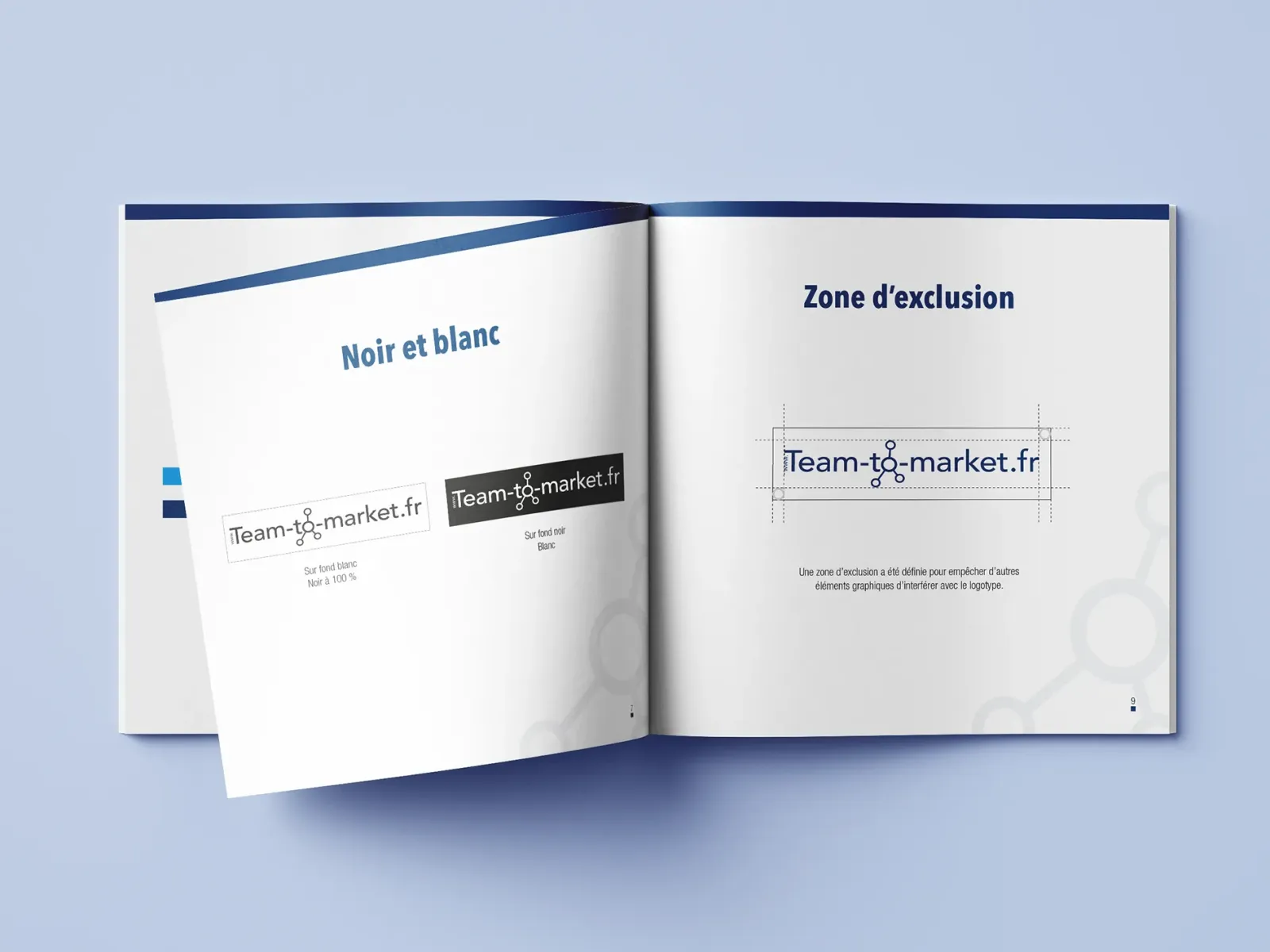 Charte graphique Team-To-Market Logo