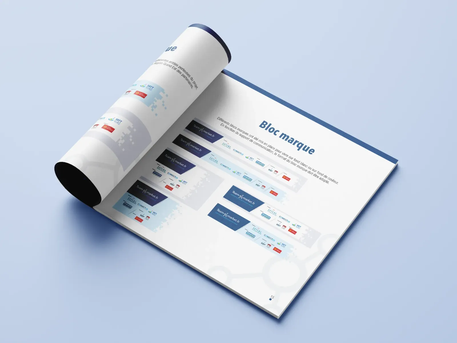 Charte graphique Team-To-Market Blocs Marques